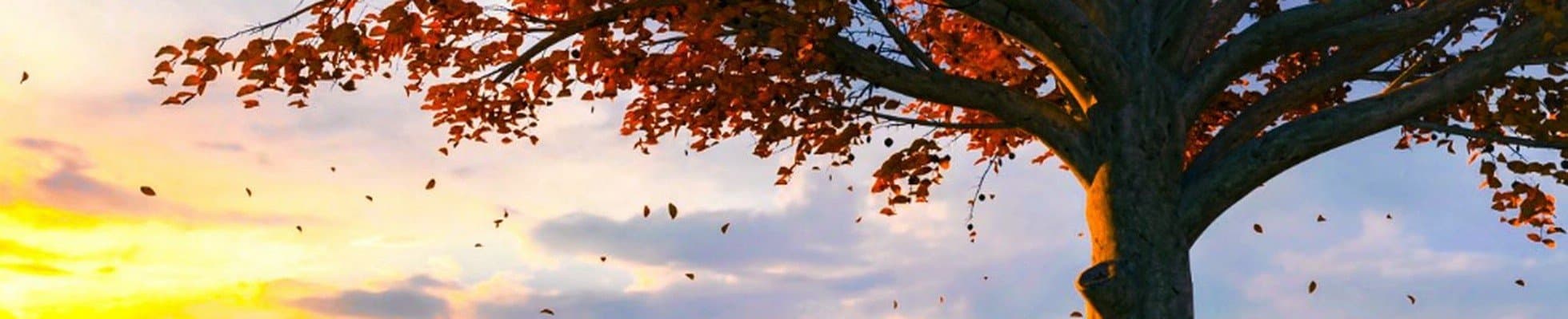 Full-Time RNCM - Covina & Surrounding Areas