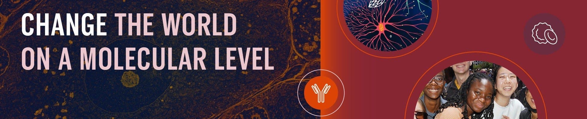 Senior Medical Science Liaison, Malignant Hematology (ND, SD, MN, IA, and NE)