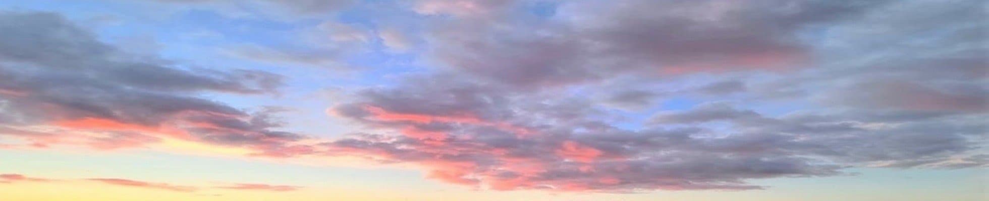 Warehouse Technician