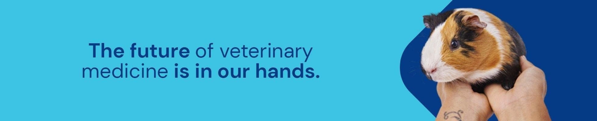 Associate Veterinarian